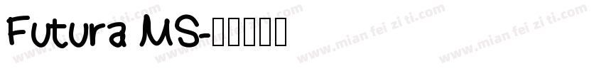 Futura MS字体转换